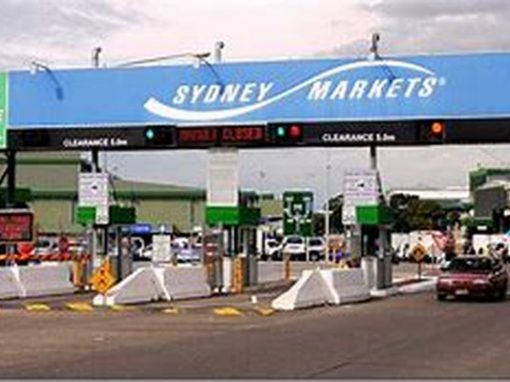 Sydney Markets